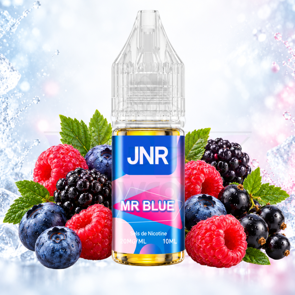 JNR Nic Salt 20mg Mr Blue