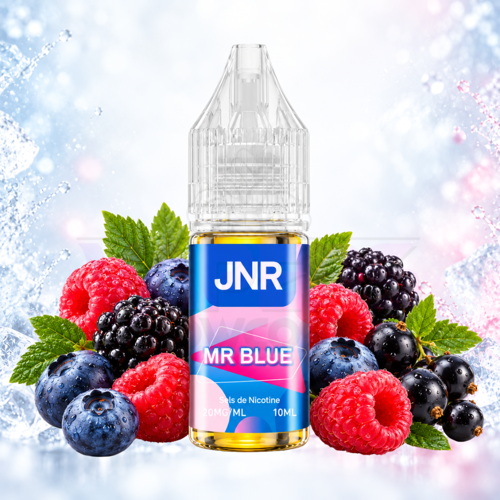 JNR Nic Salt 20mg Mr Blue